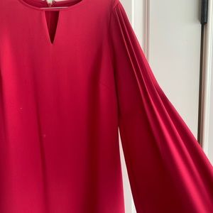 Dress. Red/Deep Pink shade. flattering w/fun sleeves. Ann Taylor.